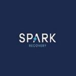 Spark Recovery Profile Picture