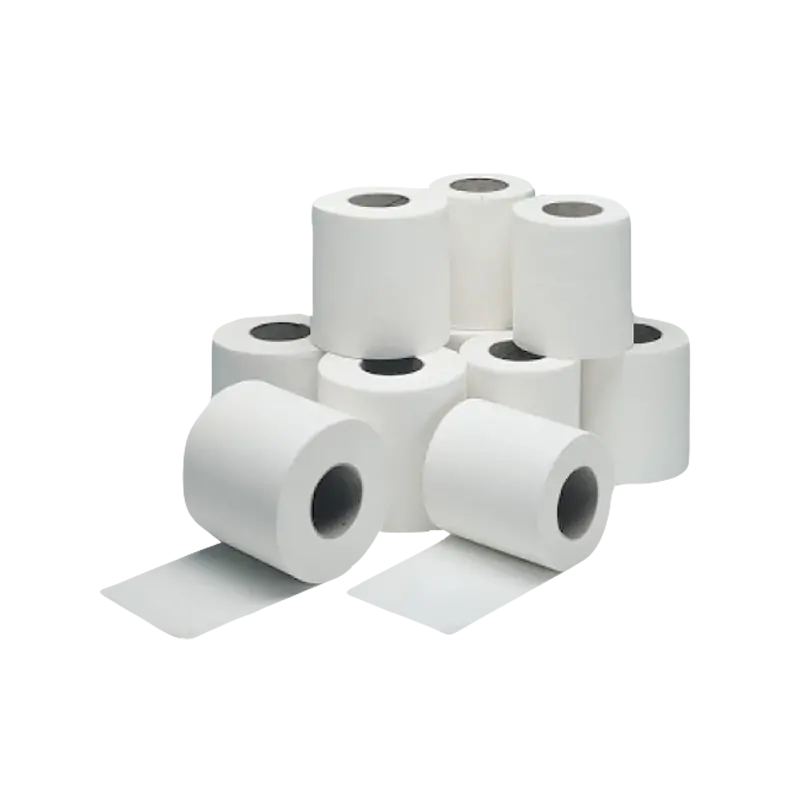 Toilet Rolls 2 Plies | Queenex Plain Toilet Roll 2 Ply 330 Sheets