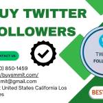 Buy Twitter Followers Profile Picture