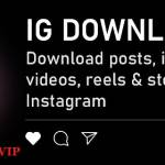 Download Instagram Stories Profile Picture