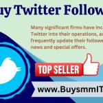 Buy Twitter Followers Profile Picture