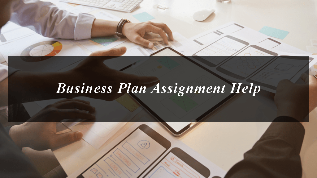 Business Plan Assignment Help for University Students
