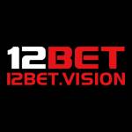 12BET VISION Profile Picture