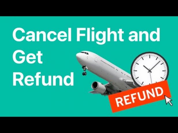 Qatar Airways Flight Cancellation and Refund Policy | +1-855-738-0346 Article - ArticleTed -  News and Articles