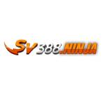 Sv388 Ninja Profile Picture