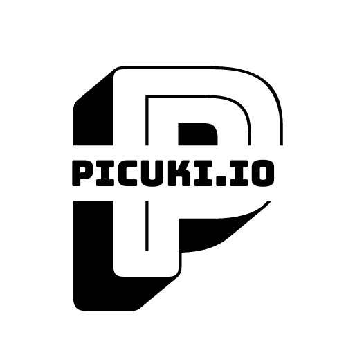 Picuki - Anonymer Betrachter von Instagram Stories & Downloader