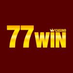 77WIN Casino Profile Picture