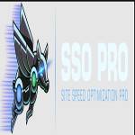 Site Speed Optimization Pro Profile Picture