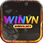 Winvn Dev Profile Picture