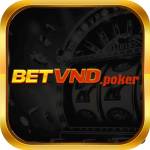 Betvnd Poker Profile Picture