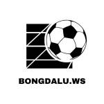 bongdalu ws Profile Picture