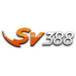 SCV388 Profile Picture