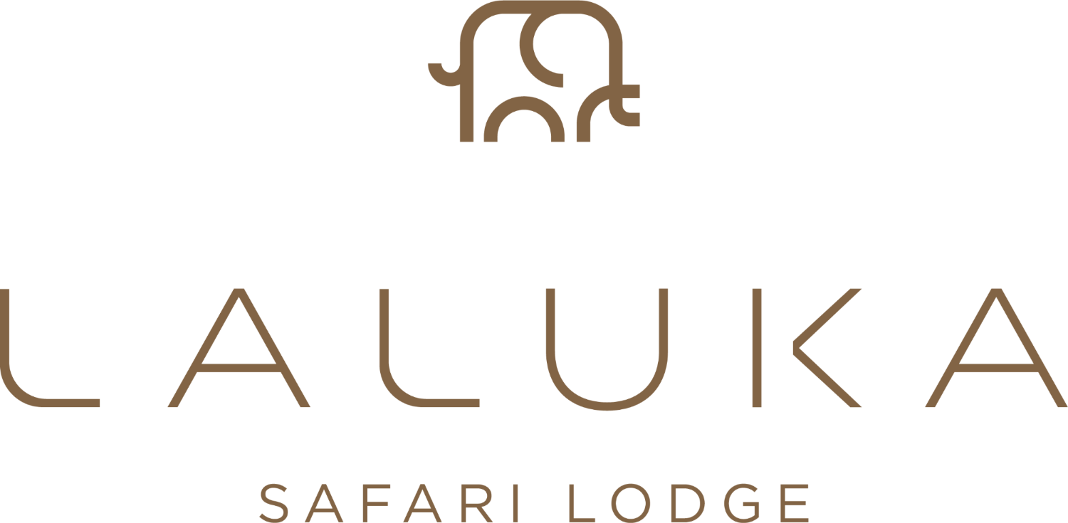 Laluka Safari Lodge | Luxury Safari in South Africa | Welgevonden Game Reserve