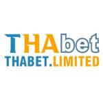 thabet limited Profile Picture