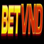 betvnd net Profile Picture