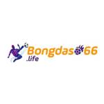 Bongdaso66 life Profile Picture