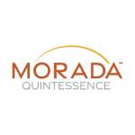 Morada Quintessence Profile Picture
