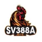 Sv388a site Profile Picture