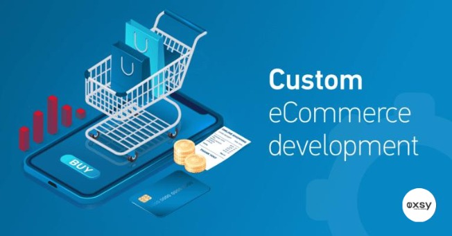 The Benefits of Custom Ecommerce Website Development | Vipon