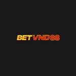 BETVND ORG Profile Picture