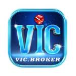 vic broker Profile Picture