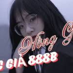 Hồng Gấm Profile Picture