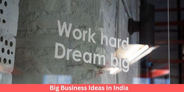 Big Business Ideas In India | Big business ideas from home in india
