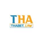 thabet law Profile Picture