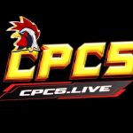 CPC5 Đá gà thomo trực tuyến Profile Picture