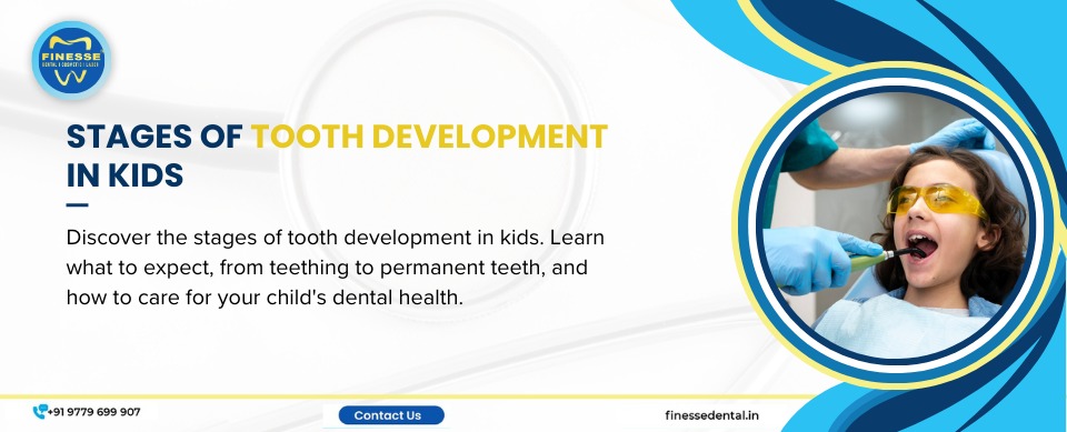 Stages of Tooth Development in Kids