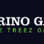 brino games Profile Picture